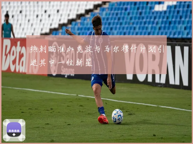 热刺瞄准加克波与马尔穆什计划引进其中一位新星